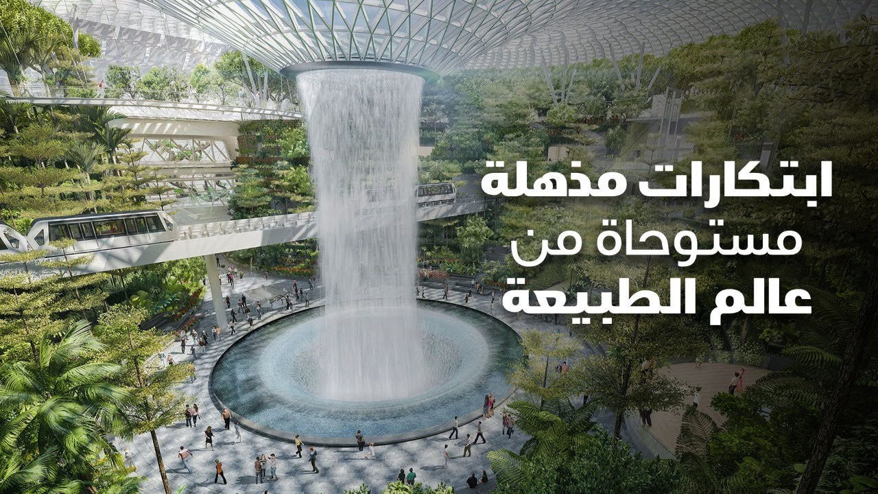 تعليم بعد المدرسة